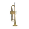 Trobenta Bach Bb-Trumpet TR655