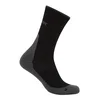 Moške nogavice Icebreaker Merino Hike+ Light Crew Black/Obsidian L