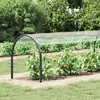 Pokrov za biljke *Transparent*an 6 x 1,5 m PVC
