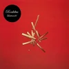 Hans-Joachim Roedelius - Lustwandel (Reissue) (180 g) (LP)