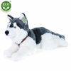 Plišasti pes husky z ovratnico leže 60 cm EKOLOŠKO PRIJAZEN