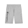 Champion Authentic Athletic Apparel Hlače mornarska/pegasto siva