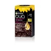 576987 Garnier Olia permanentna barva za lase 5.15 ledeno rjava