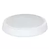 LED plafonjera 24W hladno bela