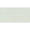 Icon Sage 60x120