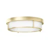 Open Design OR84955 - Plafonsko svetlo ROMI 3xE14/12W/230V, prečnik 40 cm, mesing