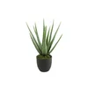 Dekordom Cvet u saksiji aloe 49cm 768198 - green - dcs ( 040141 )