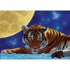 Art puzzle Moon Tiger 500 pcs