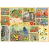 Cobble Hill - Puzzle Vrtne ptice jeseni - 500 kosov