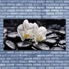 tulup.si Slika na akrilnem steklu Zen bela orchid spa 140x70 cm 2 obešalnika