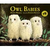 Owl Babies
