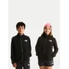 The North Face Flis Glacier NF0A8F8AJK31 Črna Regular Fit