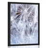 Plakat makro regrat - 30x45 no frame