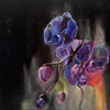 Why Bonnie - Wish on the Bone (LP)