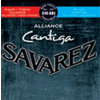 SAVAREZ SET 510ARJ