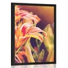 Plakat čudoviti cvetovi na vrtu - 20x30 no frame