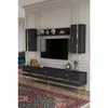 Hanah Home TV komoda Ilay, antracit / zlatna