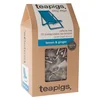 Čaj Teapigs 50 Kom Piramida Limona&Ingver