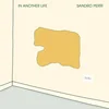 Sandro Perri - In Another Life (LP)