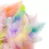Dekorativno perje 5 do 12 cm - 5 g - Pastelno (perje za)