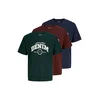 JACK & JONES Majica JJJAM mornarska/jelka/temno rdeča/off-bela