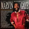 Marvin Gaye Every Great Motown Hit Of Marvin Gaye: 15 Spectacular Performances (Vinyl LP)