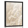 Plakat stebla pšenice - 60x90 no frame
