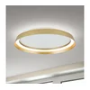 Orion DL 7-699/45-LED prigušiva svetiljka MANTA LED/38W/230V 2700/3000/4000K pr. 45 cm