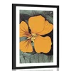 Plakat s paspartujem živopisana kapucinka - 20x30 white