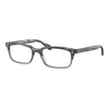 Oliver Peoples OV5102 1124