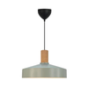 Nordlux - Viseći luster na sajli ELVAS 1xE27/60W/230V prečnik 37,5 cm zelena