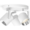 Philips 50673/31/P0 - LED prigušiva spot svetiljka BYRL 3xLED/4.5W/230V