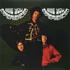 The Jimi Hendrix Experience Are You Experienced (Stereo Version) (2 LP)