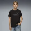 PUMA Essentials Camo Tee Youth, Clothing, Black, 9-10Y