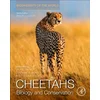 Cheetahs: Biology and Conservation