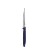 Steak nož z nazobčanim rezilom 11,2 cm — Master Blue - 105643