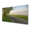tulup.si Slika na akrilnem steklu Way tree grass landscape 120x60 cm 2 obešalnika