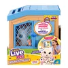 shumee Little Live Pets. Mama presenečenja zajček