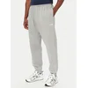 The North Face Spodnji del trenirke Evolution Simple Dome NF0A8CWY Siva Regular Fit