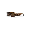 CHPO Brooklyn Turtle Brown Sunglasses brown