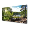 tulup.si Slika na steklu Lake forest trees narava 100x50 cm 4 obešalnika