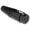 KV2 Audio AP4-11 priključak