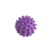 Hunter igrača za pse Igelball žoga, jež 5 cm