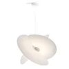 LEVANTE A06C1 LOPATICE x3 MALE 62x44