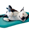 Canine Cooler pet bed