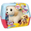 Interaktivni plišasti kuža Little Live Pets Ouchies Cooper (26679)