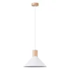 Sollux SL.1319 - Luster na sajli JAGA 1xE27/15W/230V prečnik 30 cm bela