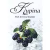 Kupina