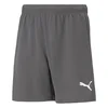 Puma Hlače siva 164 - 169 cm/XS Teamrise