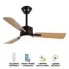 Plafonski ventilator sa svetiljkom FV3102-107 BR